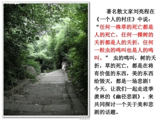 《幽径悲剧》PPT
