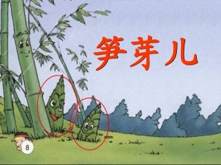 笋芽儿课件 (3)