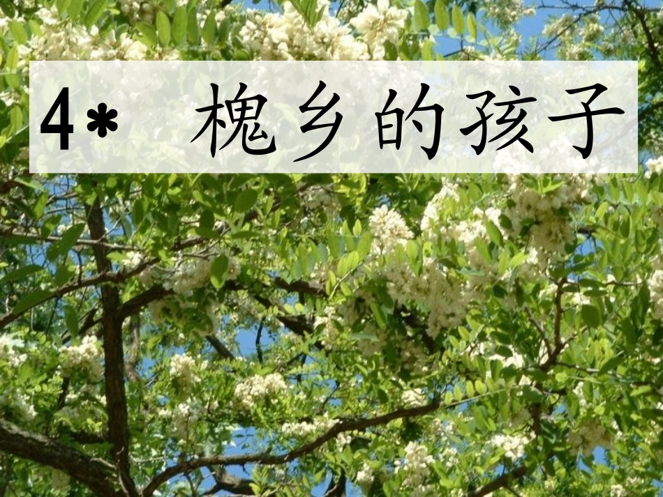 槐乡的孩子(修改)_第1页