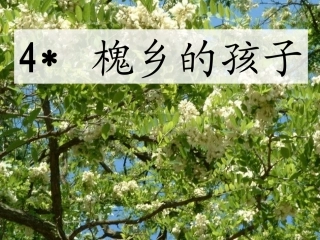 槐乡的孩子(修改)