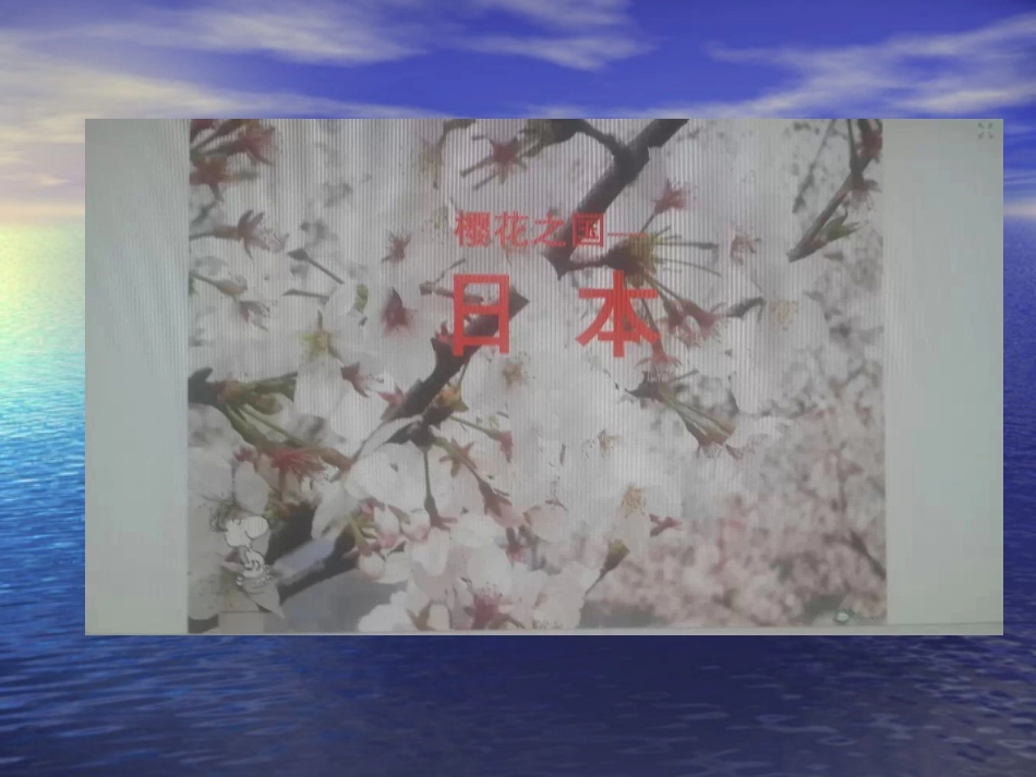 樱花之国日本_第1页