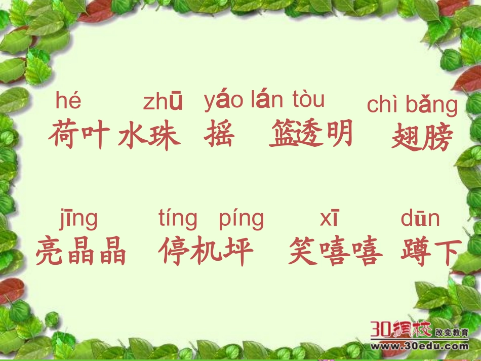 人教版小学语文一年级下册《荷叶圆圆》课件(1)_第2页