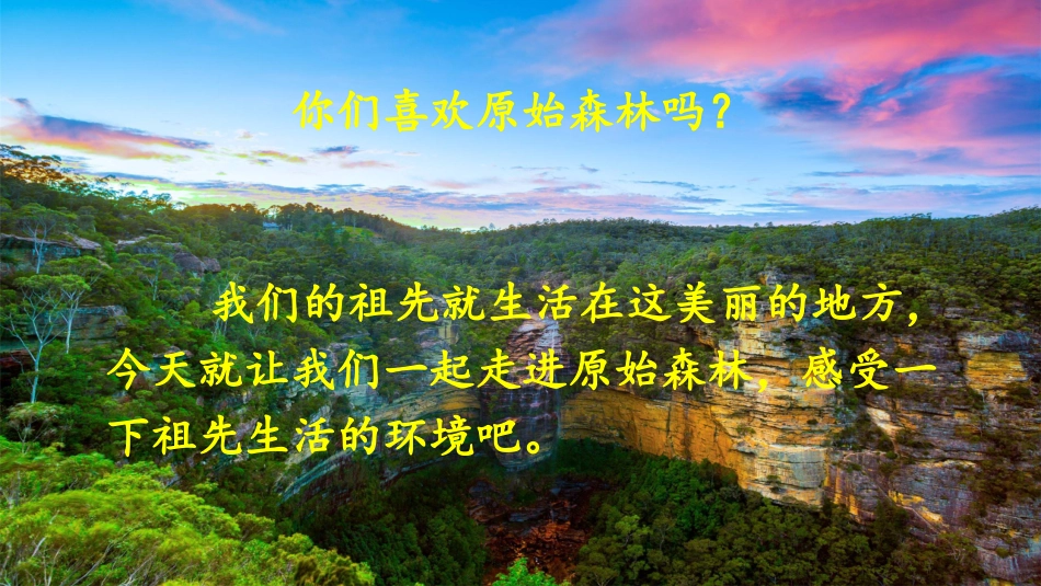 23祖先的摇篮_第3页