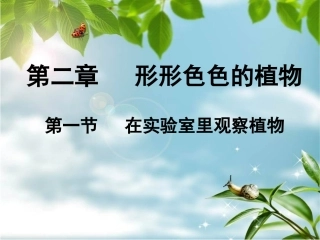 21在实验室里观察植物