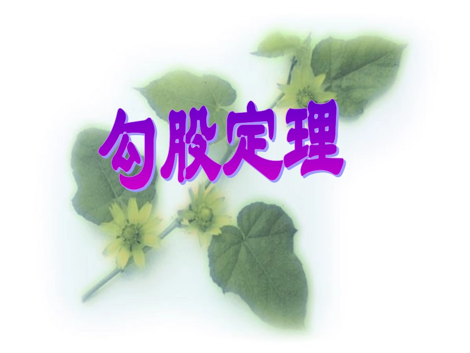 《勾股定理1课时》 (2)_第1页