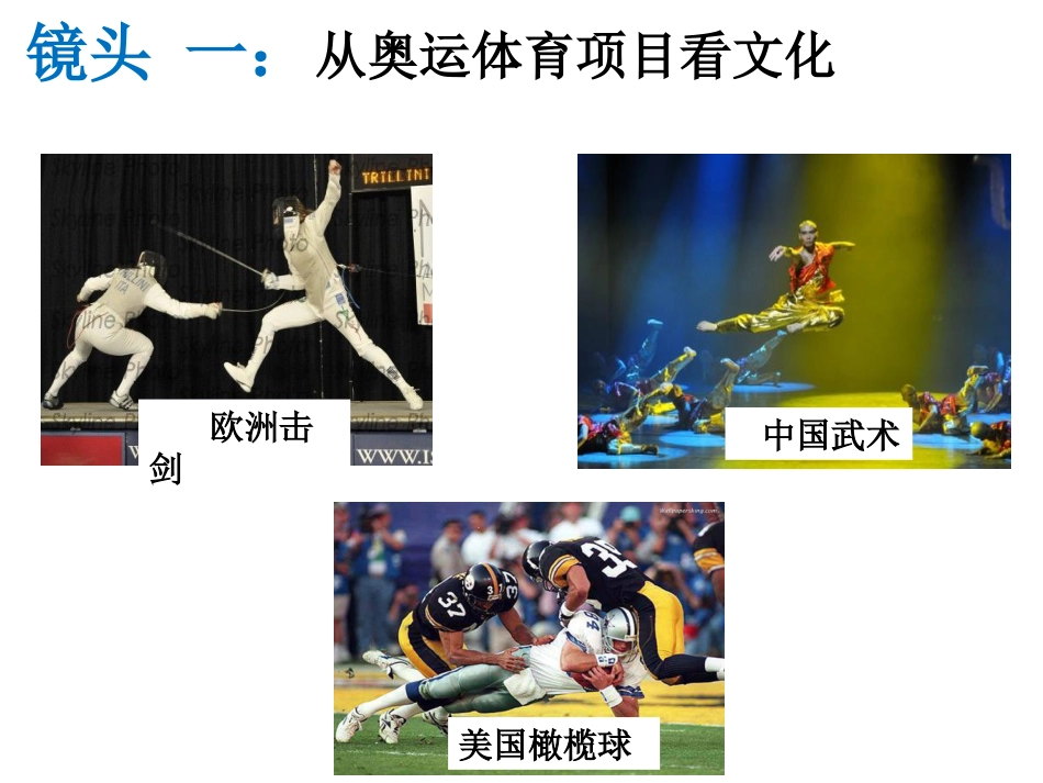 31世界文化的多样性_第3页