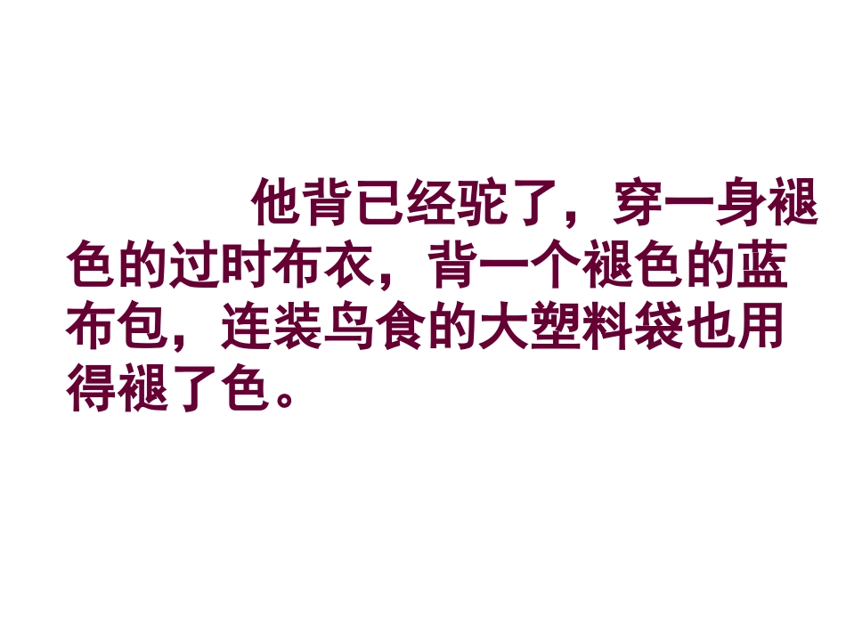老人与海鸥课件3_第3页
