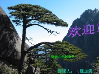 魏加恩课件一