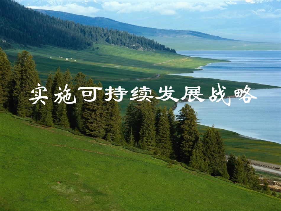实施可待续发展战略1_第1页