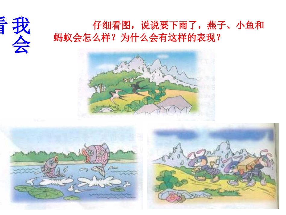 要下雨了看图说话写话PPT_第3页