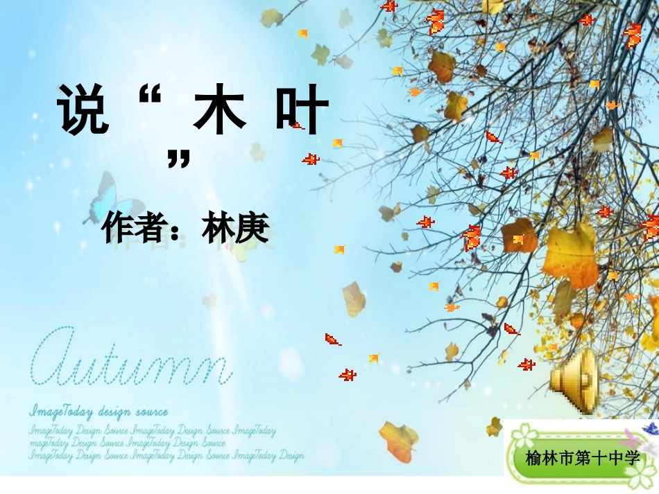 说木叶_大赛用_第1页