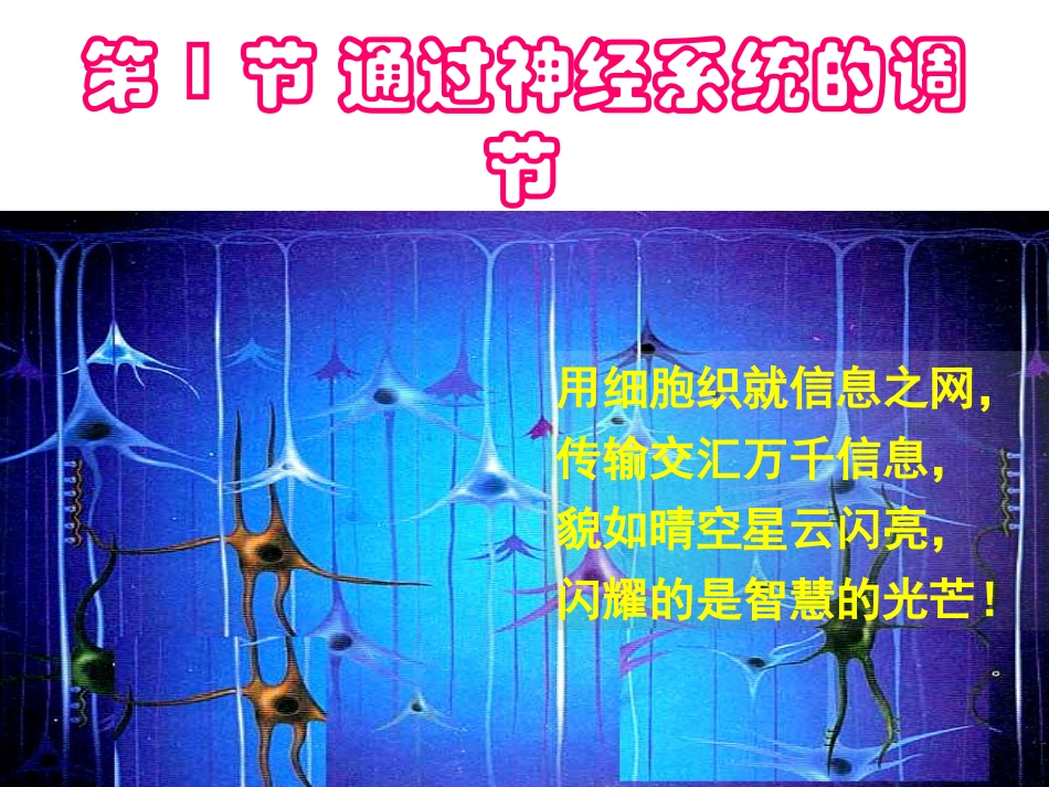 21通过神经系统的调节1_第2页