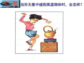 21通过神经系统的调节1