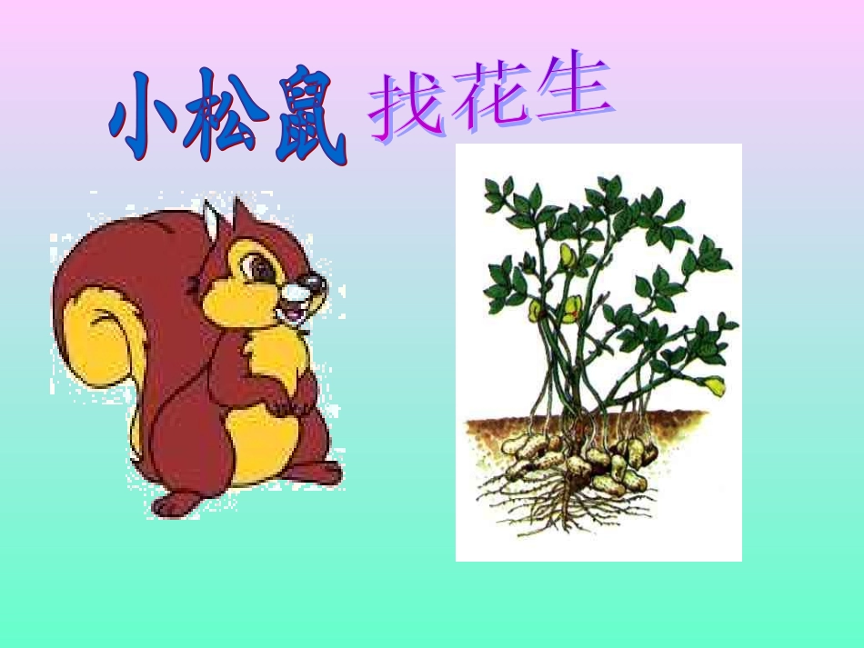 小松鼠找花生 (2)_第1页