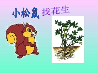 小松鼠找花生 (2)
