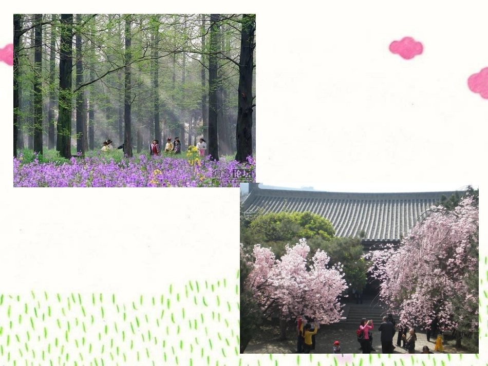 活动21问春天_第3页