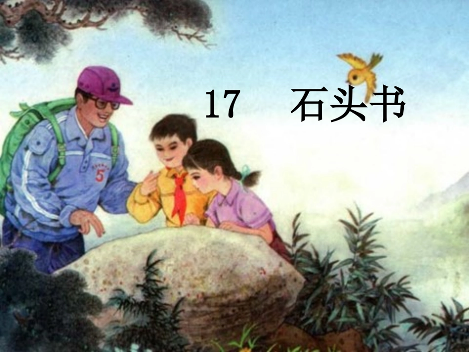石头书(李丽)_第1页