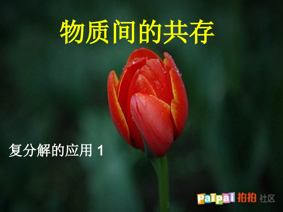 物质间的共存（复分解应用1）_第1页