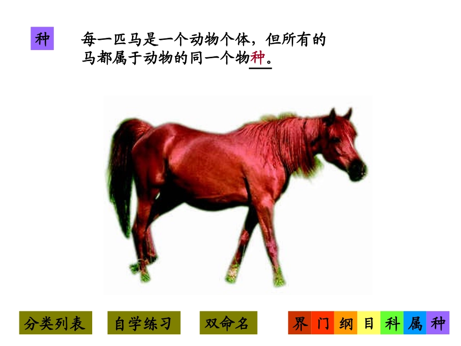 从种到界 (2)_第3页