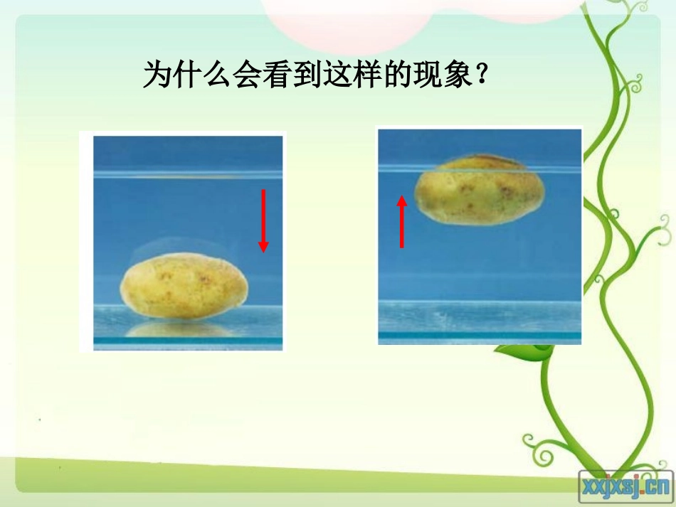8探索马铃薯沉浮的原因_第3页