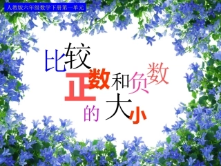 第二课时：比较正负数的大小