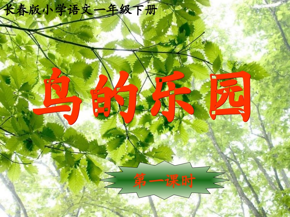 鸟的乐园第一课时_第2页