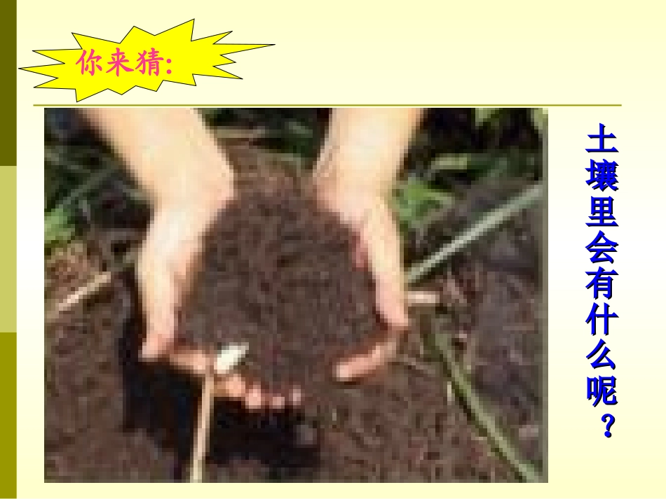 苏教版小学科学三年级下册《了解土壤》（石油一校）PPT课件之一_第2页