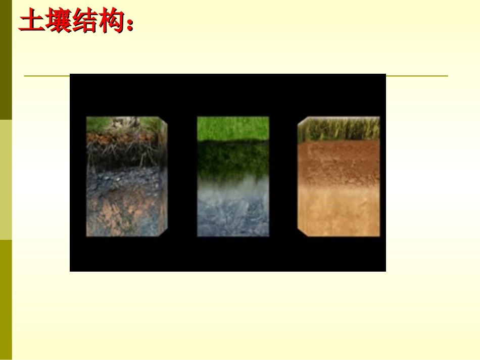 苏教版小学科学三年级下册《了解土壤》（石油一校）PPT课件之一_第3页