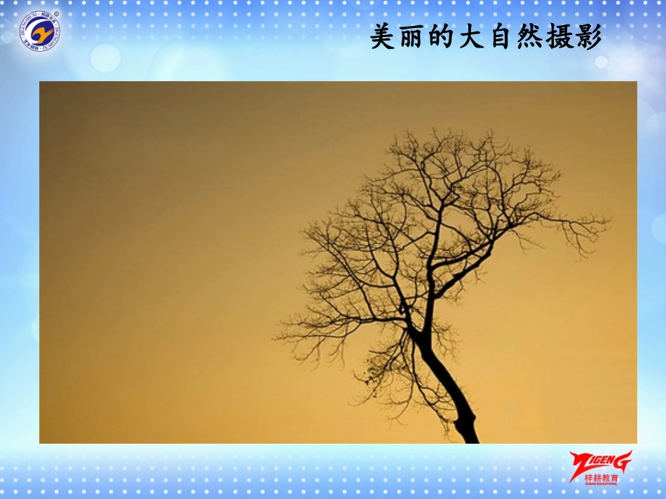 4探索三角形相似的条件（4）_第3页