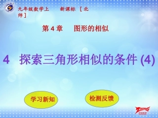 4探索三角形相似的条件（4）