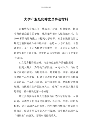 大学产业处优秀党员事迹材料