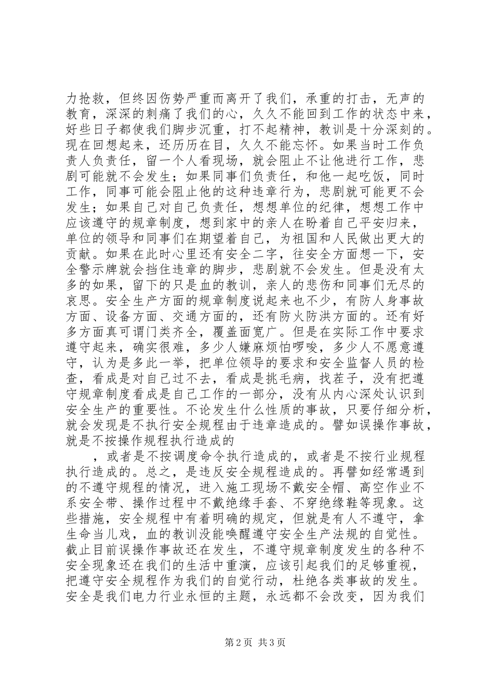 倡导电力行业的安全生产演讲稿范文_第2页