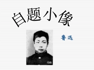 第一板块自题小像