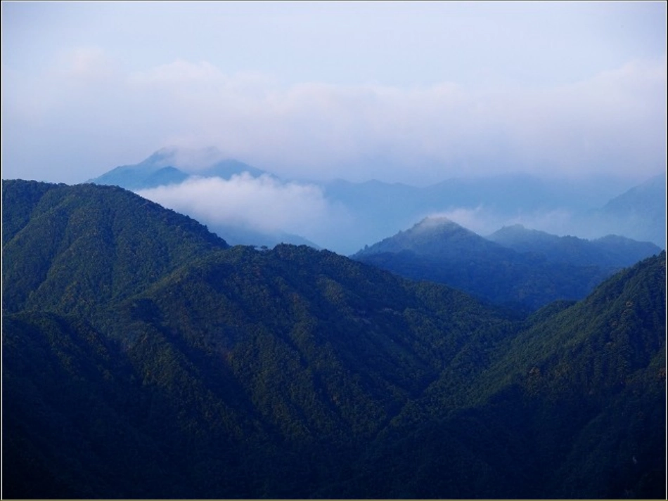 崔玮群文阅读_第2页