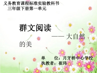 崔玮群文阅读