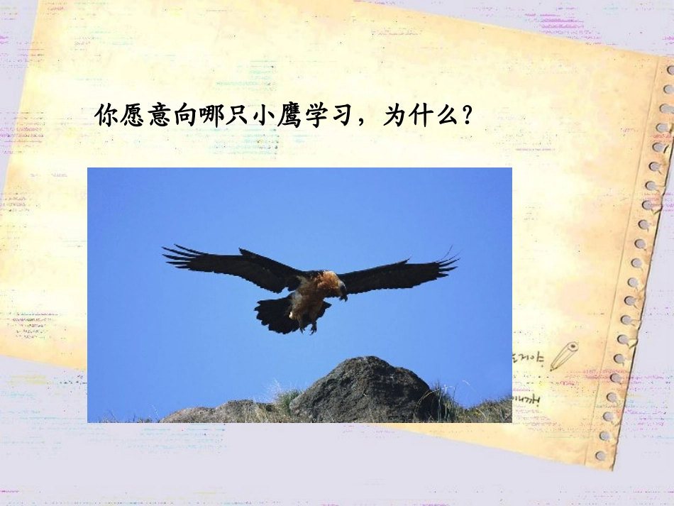 学做“小雄鹰”_第3页