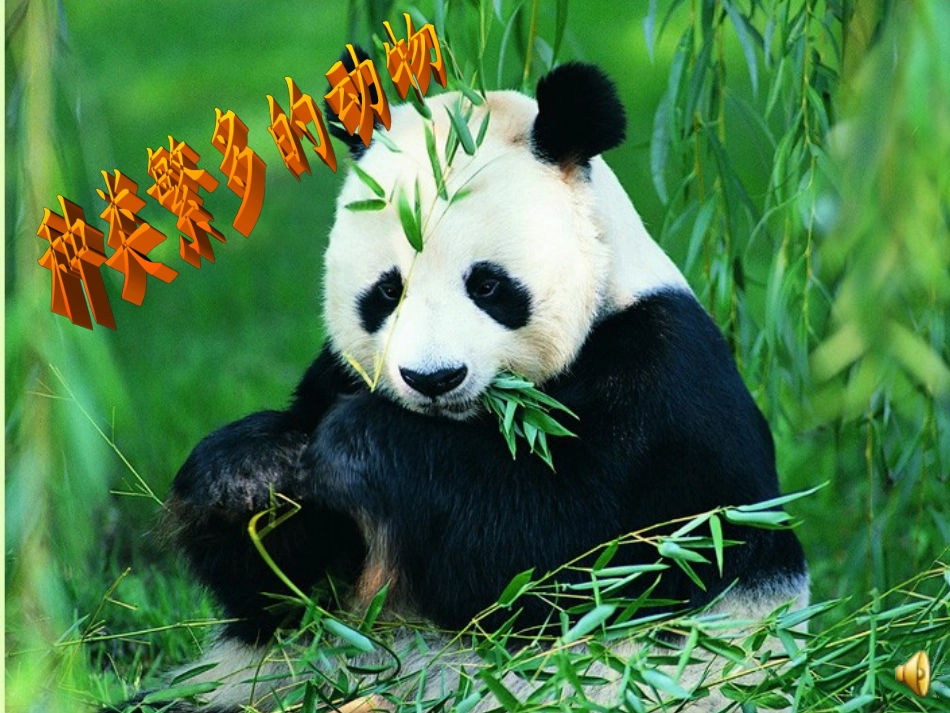 教科版小学科学六年级上册《种类繁多的动物》课件_第1页