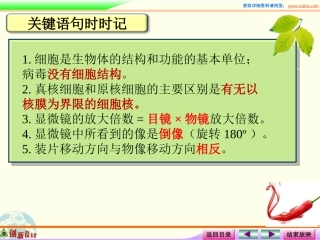 课件多种多样的细胞