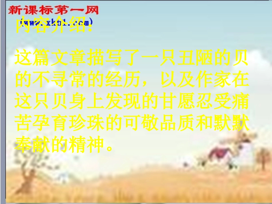 《一只贝》课件_第2页