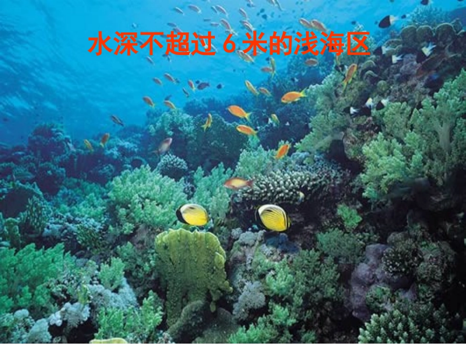 2、2_湿地资源的开发与保护_第3页