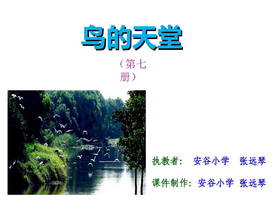 鸟的天堂(安谷小学张远琴）_第1页