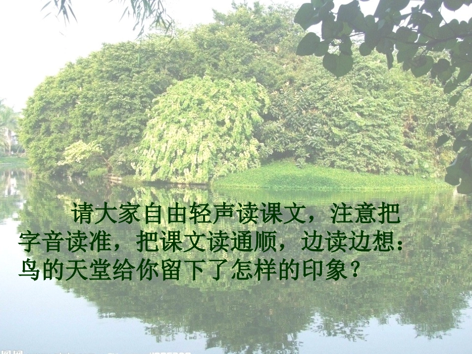 鸟的天堂(安谷小学张远琴）_第3页
