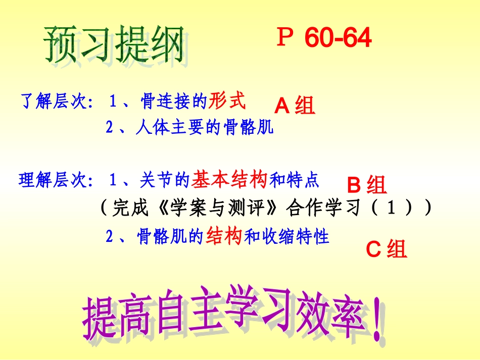 人体的支持与运动_第2页