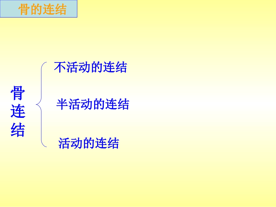 人体的支持与运动_第3页