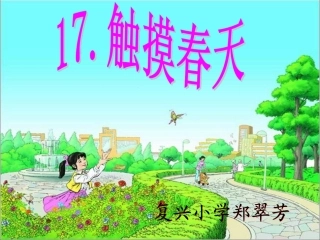 完整触摸春天课件12