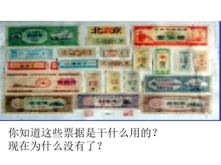 97(1)《造福人民的经济制度》课件