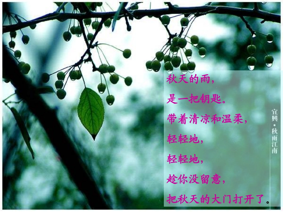 秋天的雨 (6)_第3页