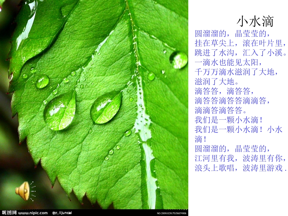 小水滴与大海_第3页