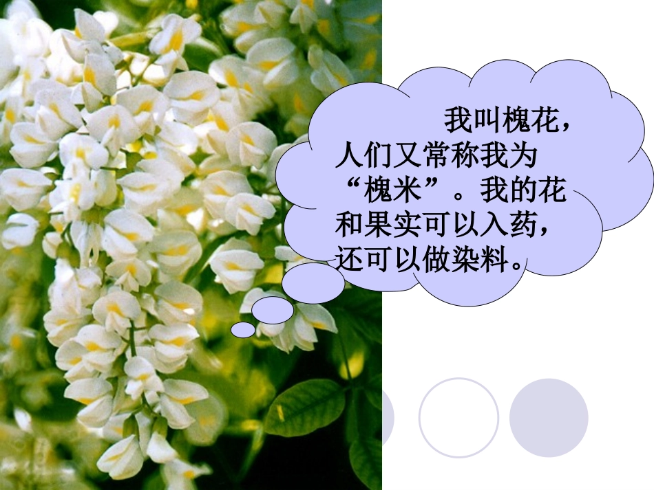 4槐乡的孩子课件3_第2页