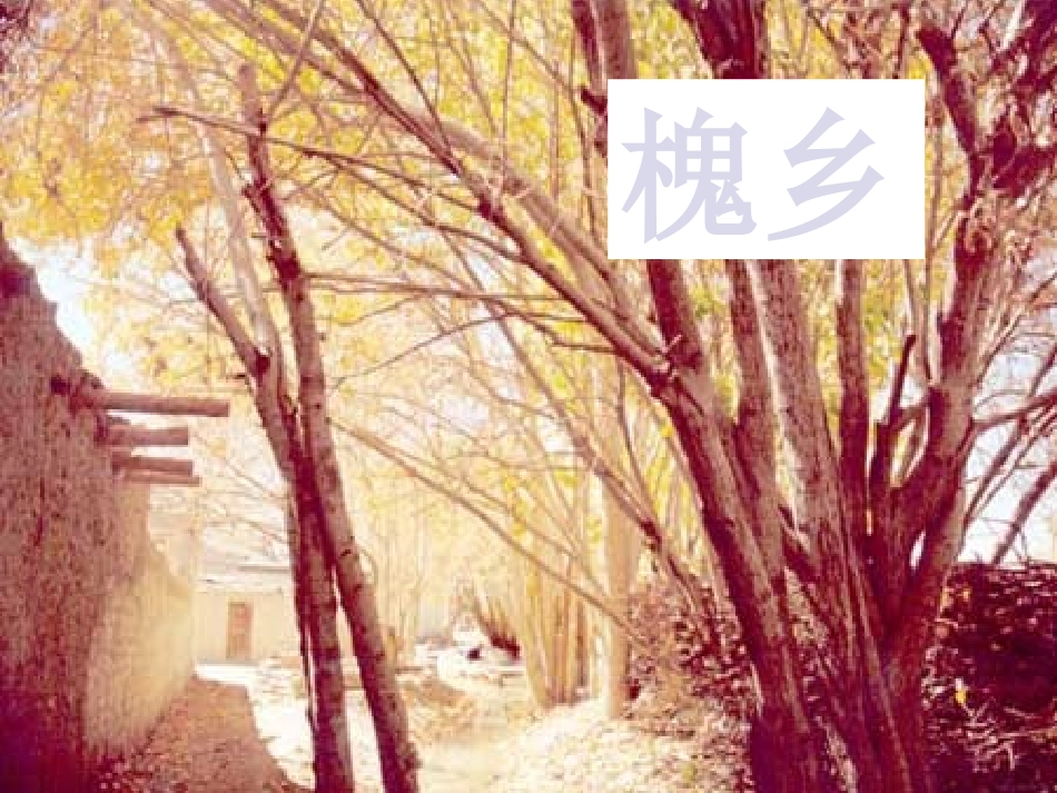 4槐乡的孩子课件3_第3页